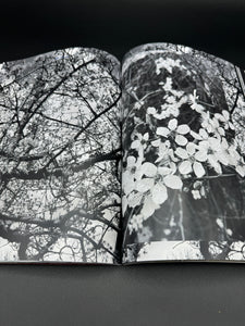 SHADOW / LIGHT: FASHION & ART MAGAZINE